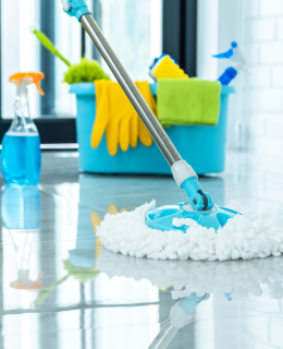 Mechanised Housekeeping