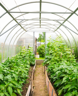 Horticulture Services